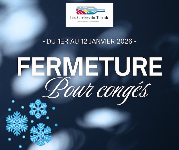 viisuel fermeture annuelle 2025-2026